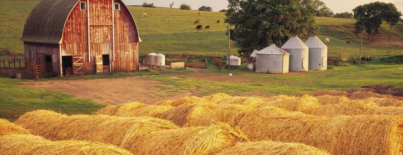 Read more about the article Overcame breeding point concerns has terminate